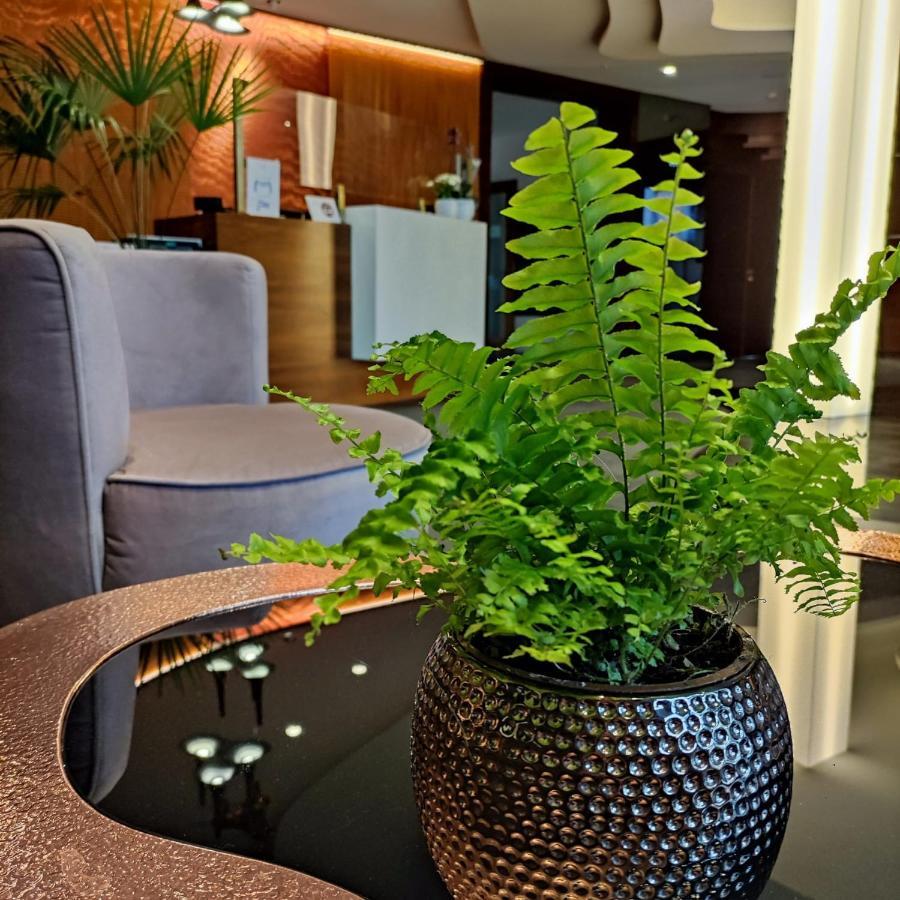 Bazuny Hotel&Spa Kościerzyna Buitenkant foto